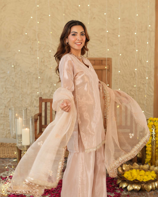 Pataka Beige Solid Tissue Suit Set