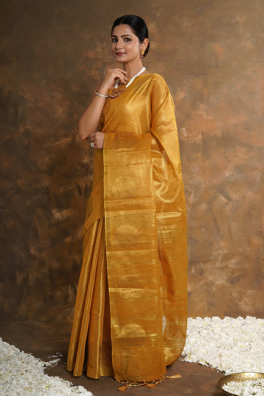 Teejh Amrapali Tissue Silk Saree