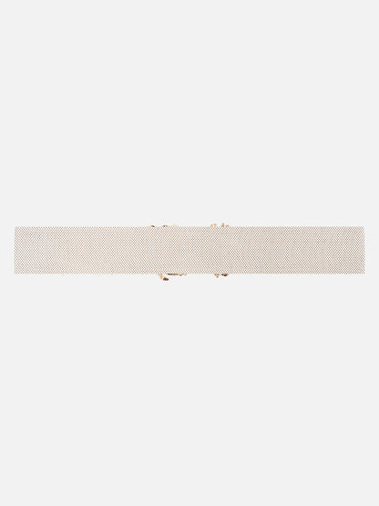 Statement Buckle Broad Belt