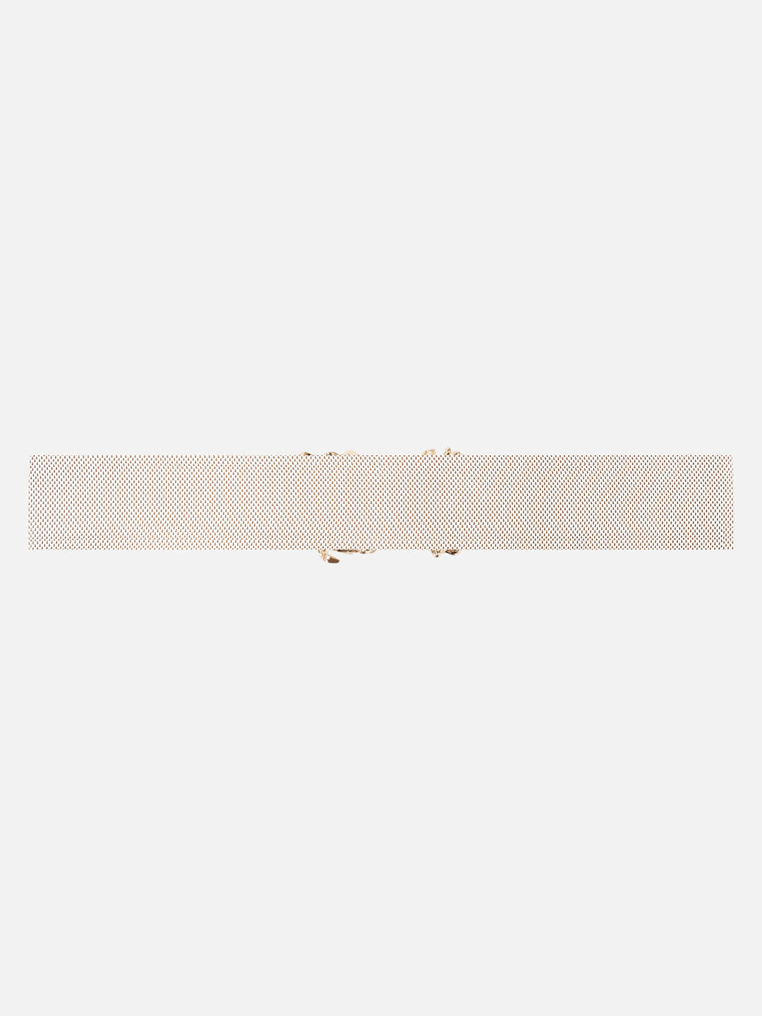 Statement Buckle Broad Belt