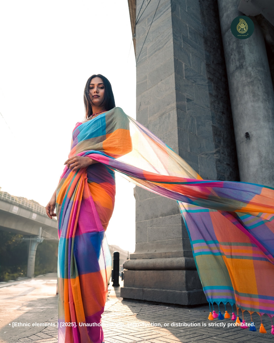 Woven Mul Cotton Handloom Saree - Designer Symphony Of Checks