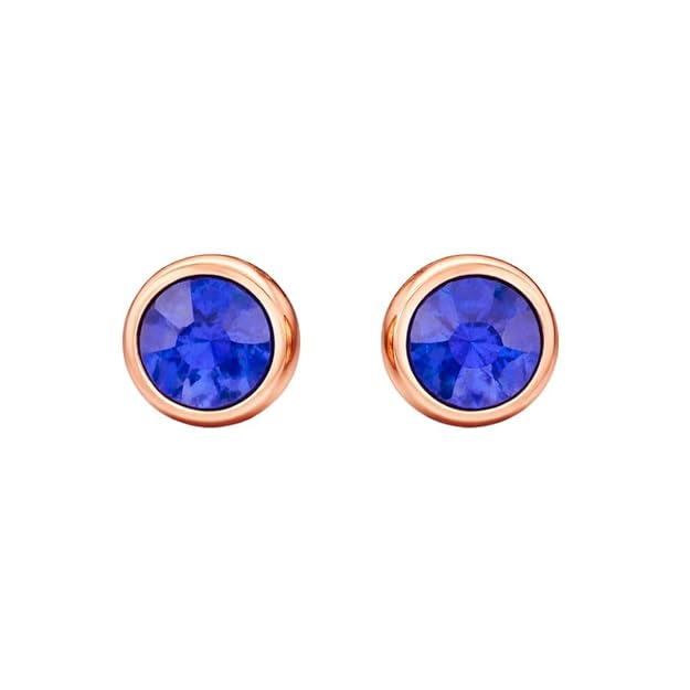 Dailywear Blue AD Earrings