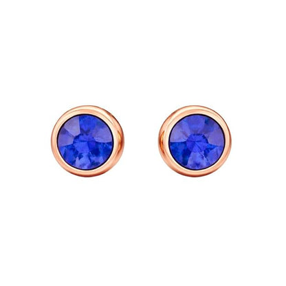 Dailywear Blue AD Earrings