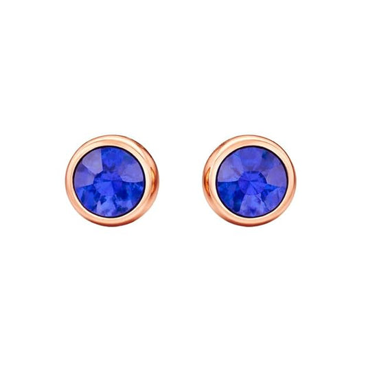 Dailywear Blue AD Earrings