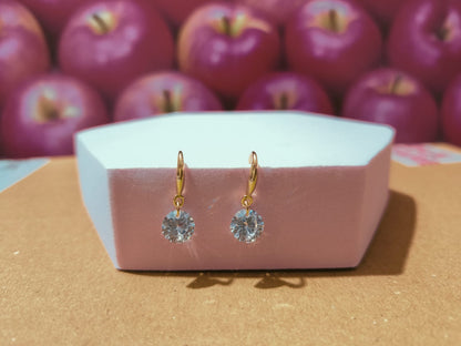 Gold Plated AD Drop Earrings