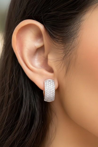 Silver Plated Luxe Sparkle Ear Studs