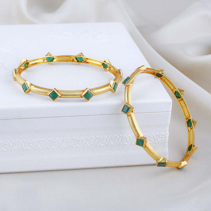 Kashvi Pair Bangles