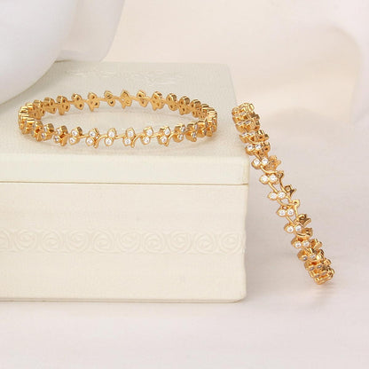 Vikashsa Pair Bangle
