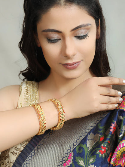 Multi-Color Gold Plated Meenakari Bangle Set