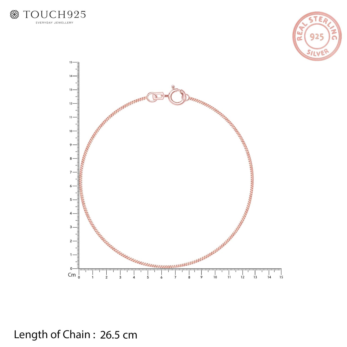 Gleam Line Silver Anklet