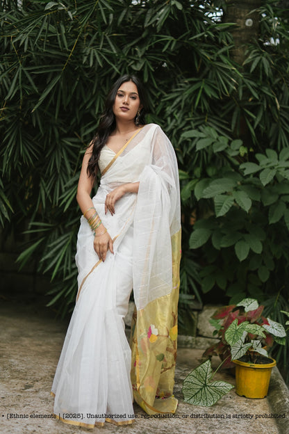 Handwoven Muslin Jamdani Saree Pakhee