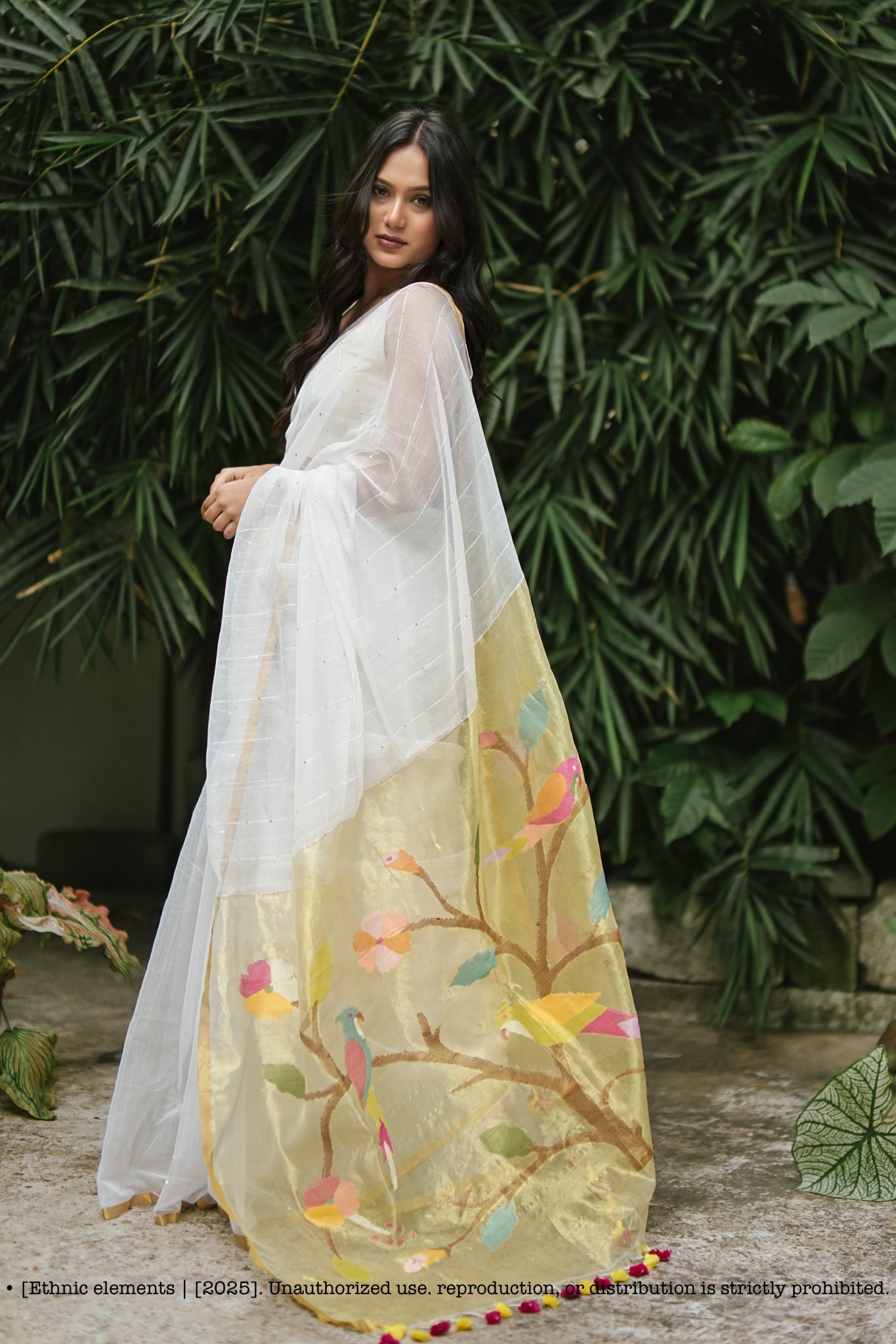 Handwoven Muslin Jamdani Saree Pakhee