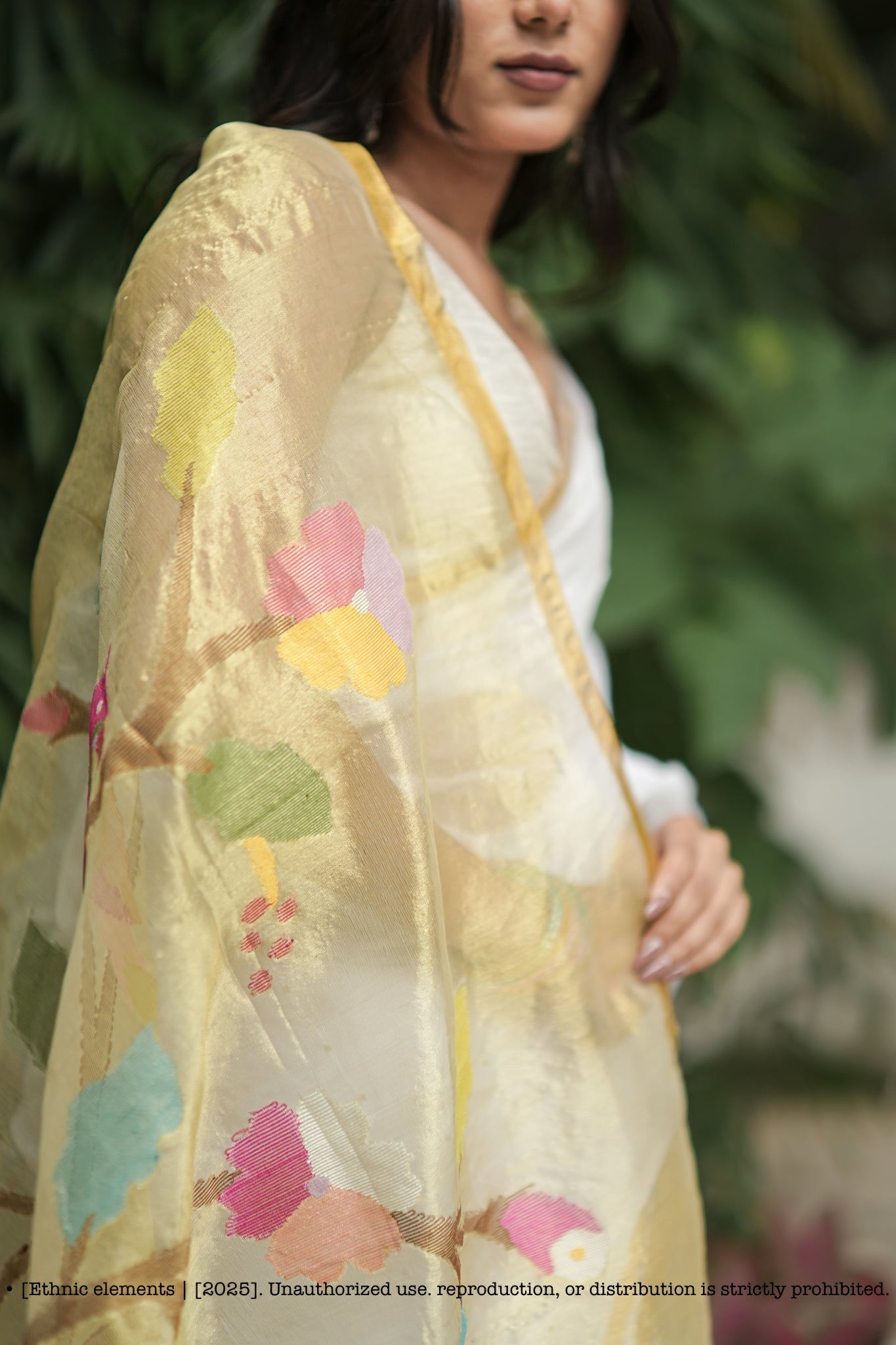 Handwoven Muslin Jamdani Saree Pakhee