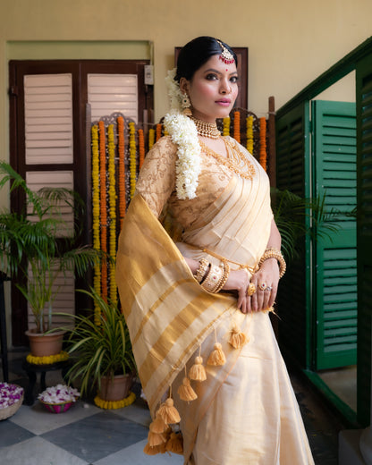 Mul Cotton Tissue Saree - Golden Glow