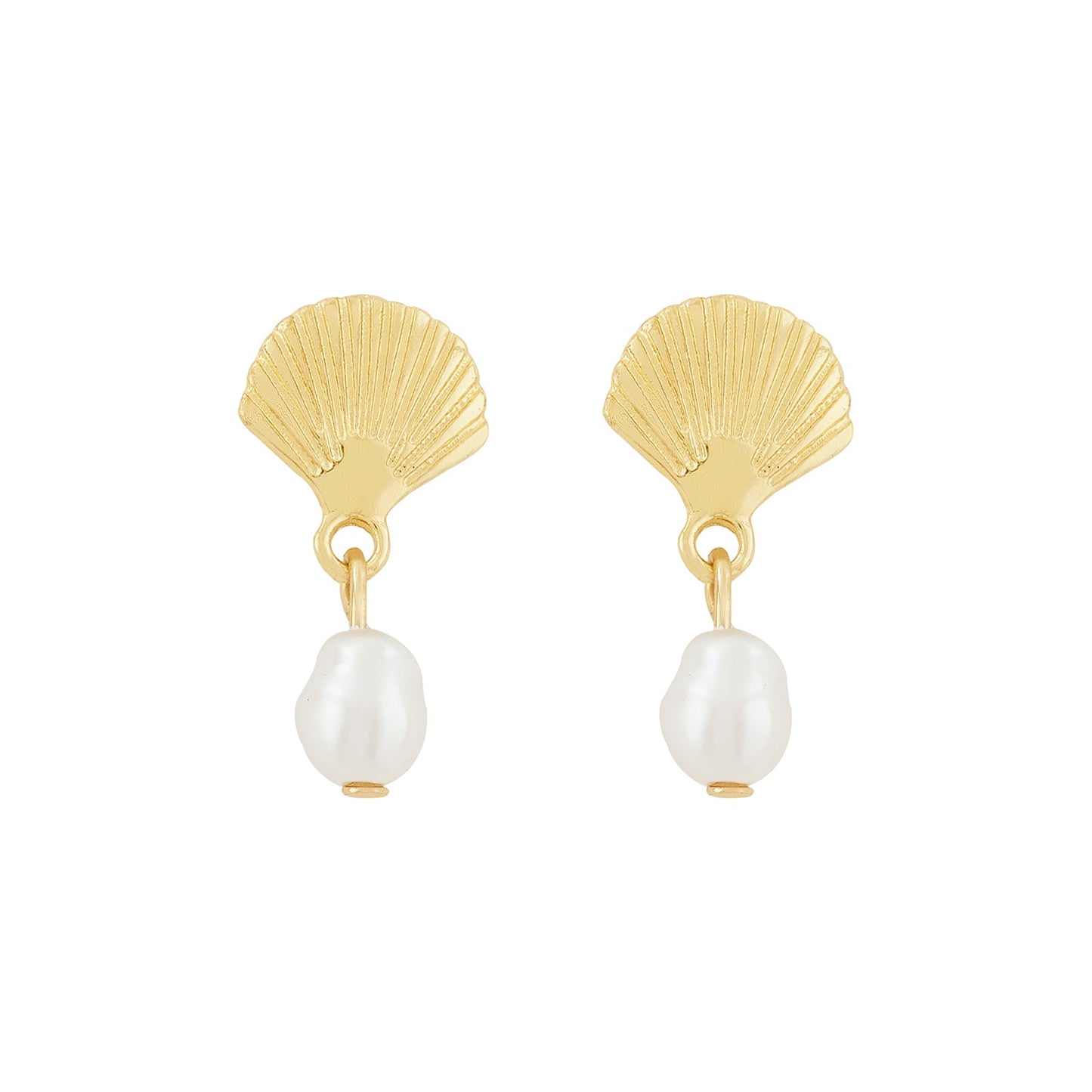 Zuma Seashell Gold Earrings