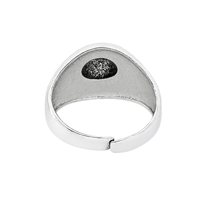 Valtrix Silver & Gold Men's Ring