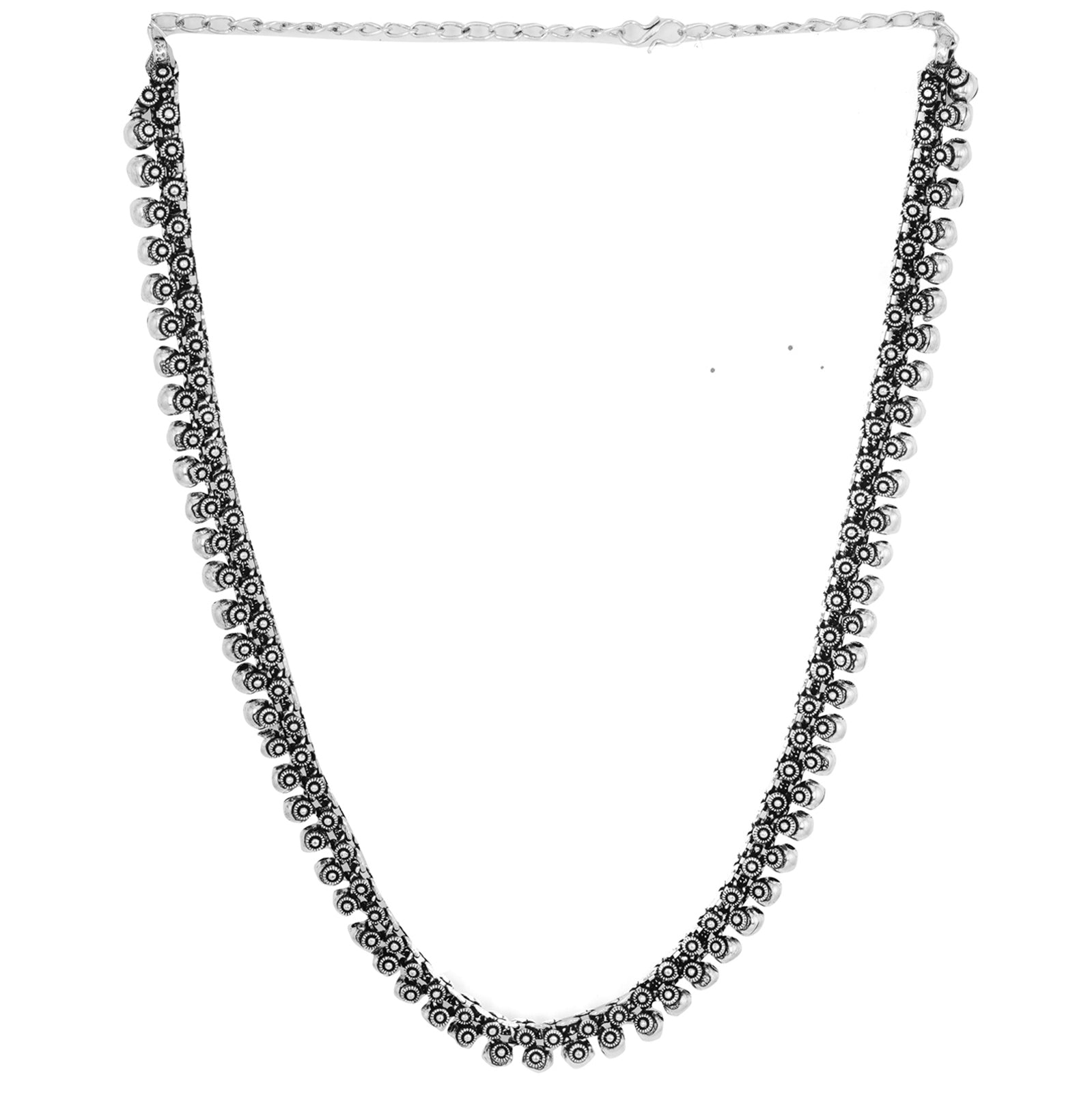 Teejh Anwita Long Silver Oxidised Necklace