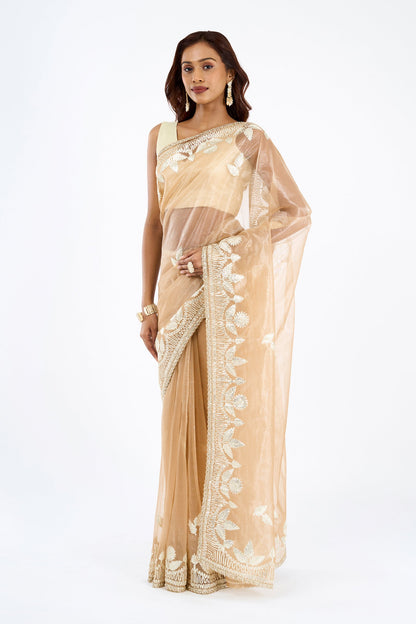 Teejh Meheriye Champagne Net Gota Saree