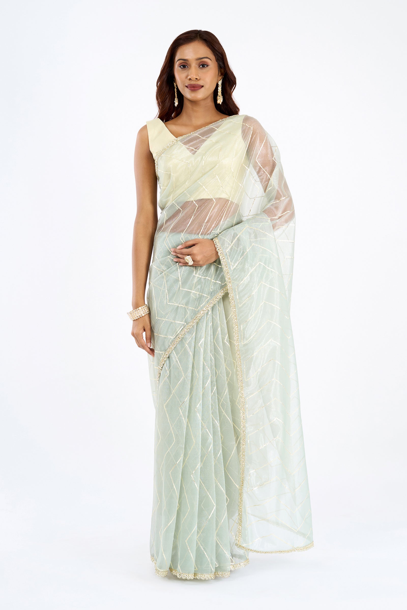 Teejh Rabina sage Green Net Gota Saree