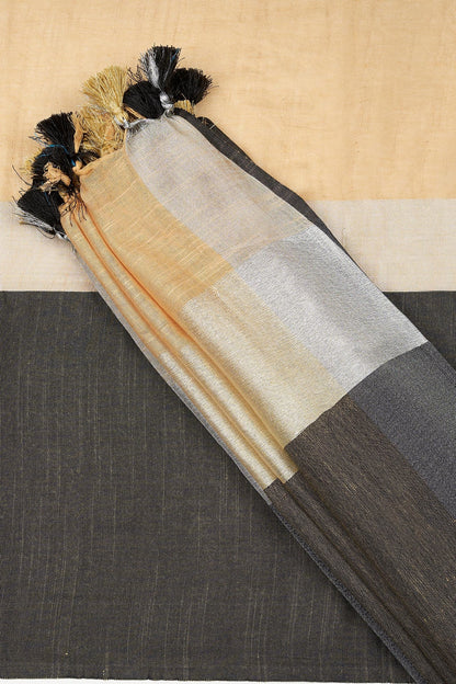 Teejh Chhaya Beige and Black Color Block Saree