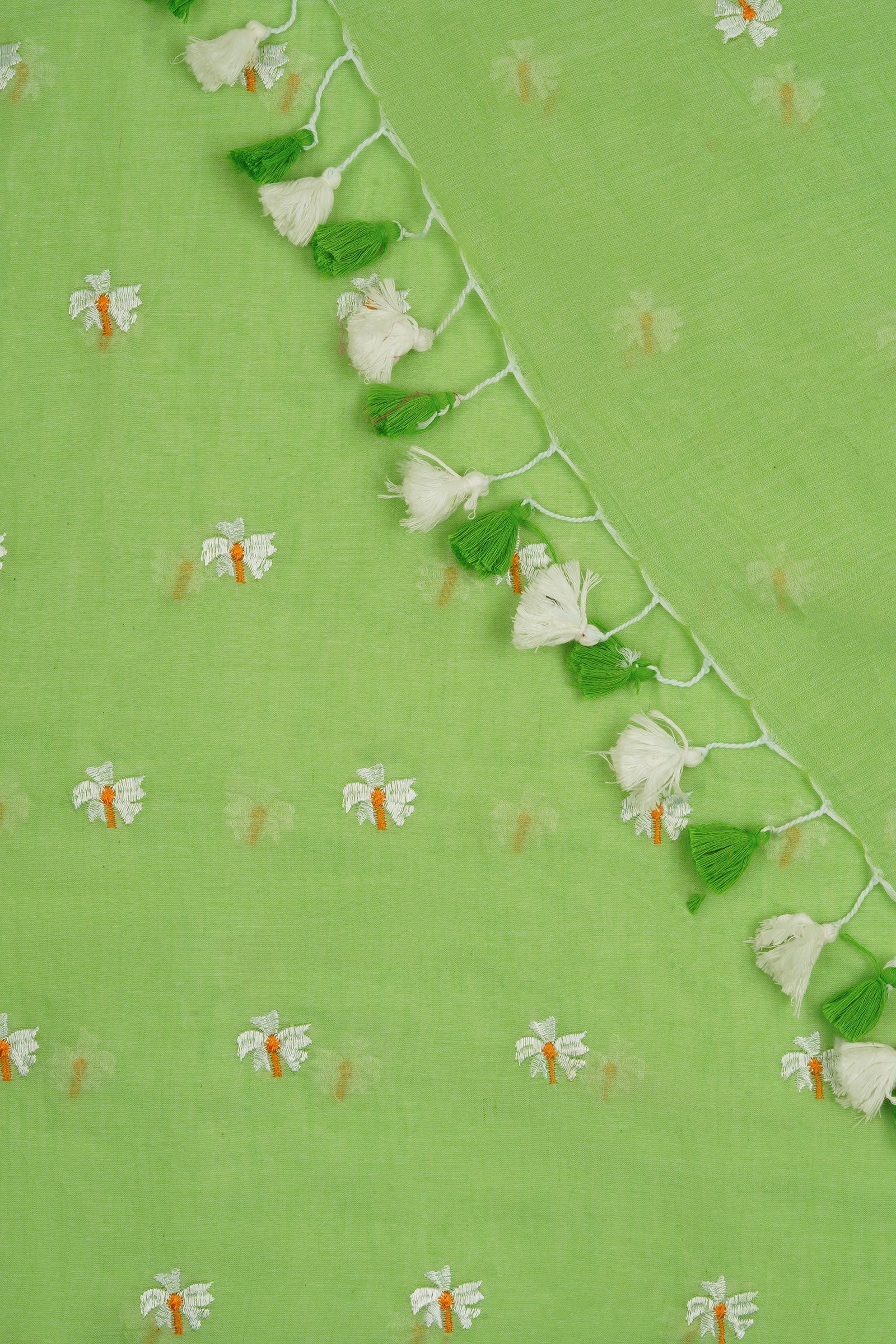 Teejh Reiya Light Green Embroidered Mulmul Cotton Saree