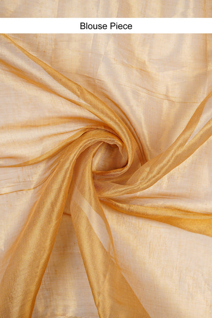 Teejh Hiraadiya Golden Organic Tissue Silk Saree