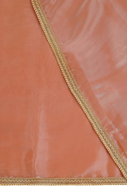 Teejh Coral Cascade Tissue Saree