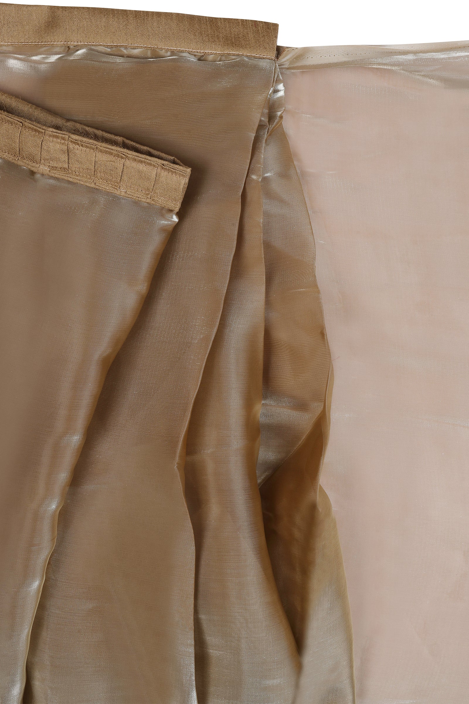 Teejh Gilded Glamour Tissue Pre-Draped Saree