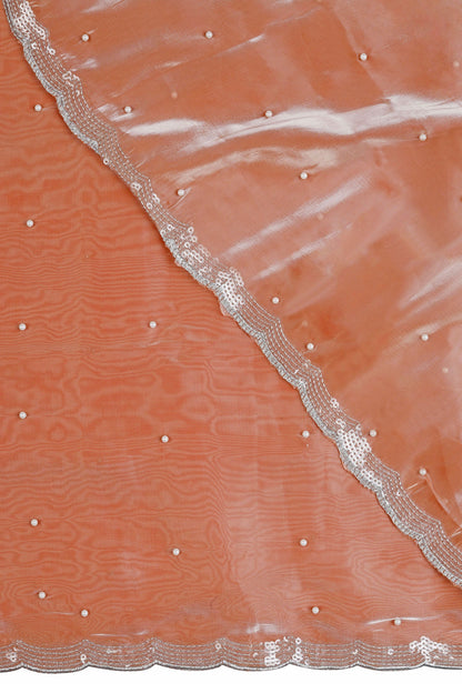 Teejh Pearly Peach Tissue Saree