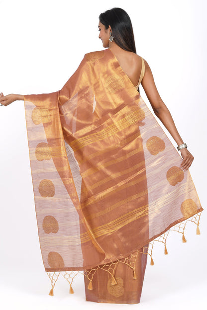 Teejh Gitanjali Tissue Silk Saree
