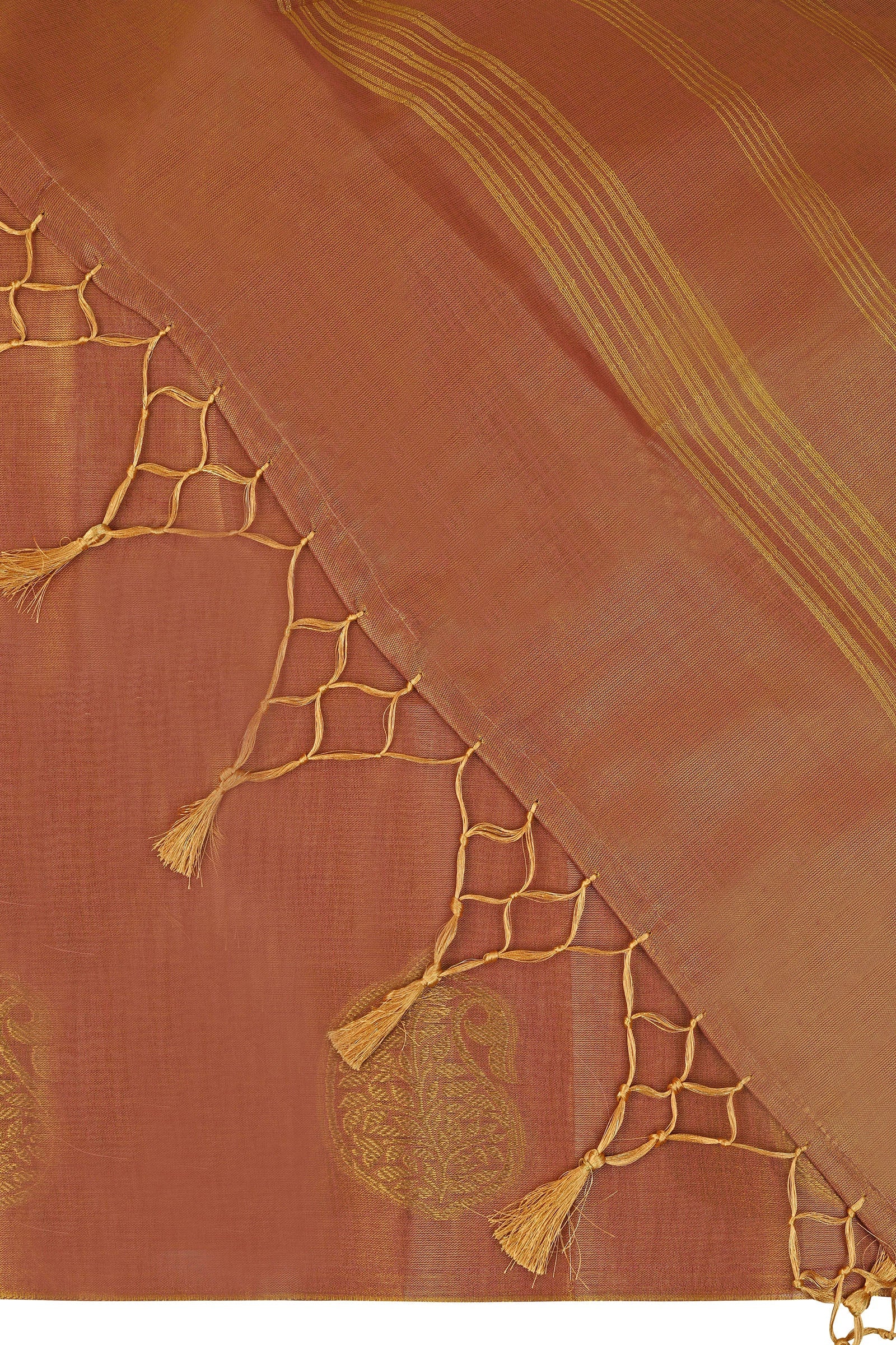Teejh Gitanjali Tissue Silk Saree