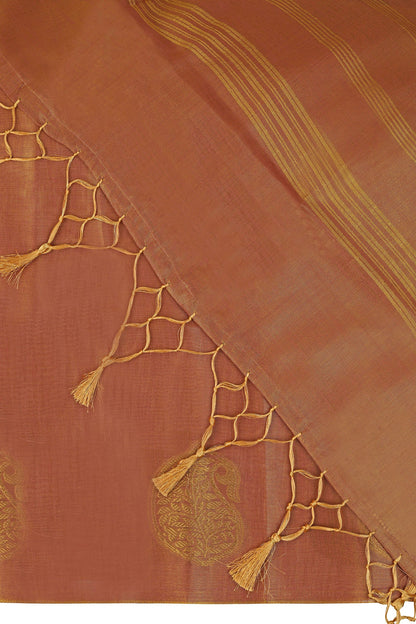 Teejh Gitanjali Tissue Silk Saree