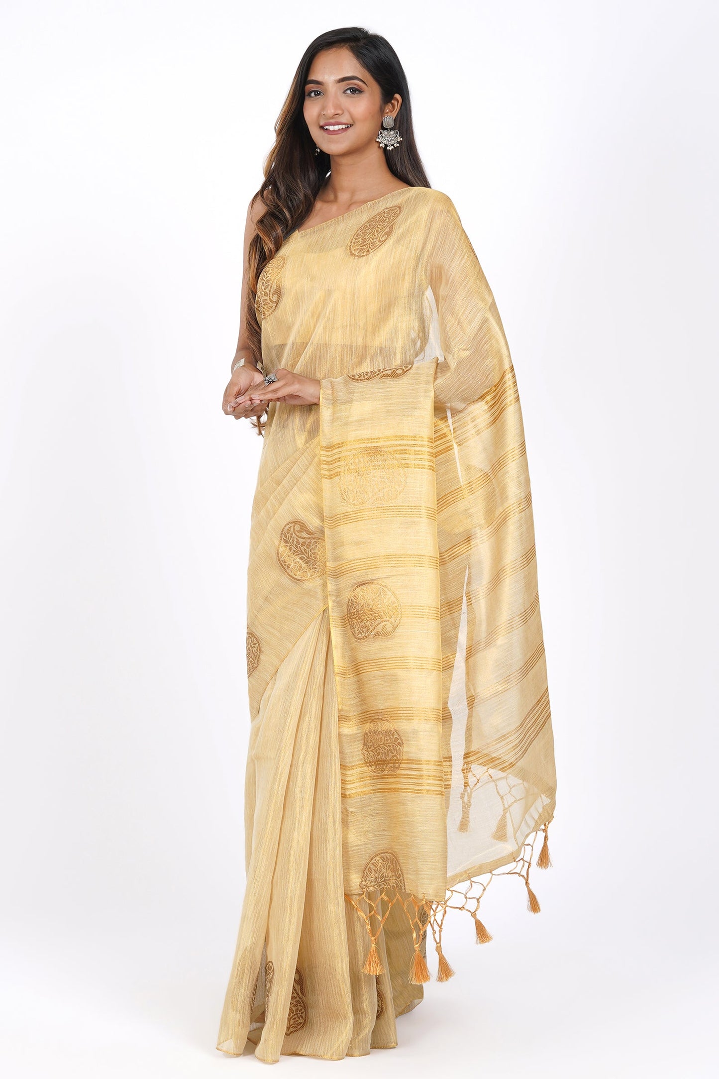 Teejh Devyani Tissue Silk Saree