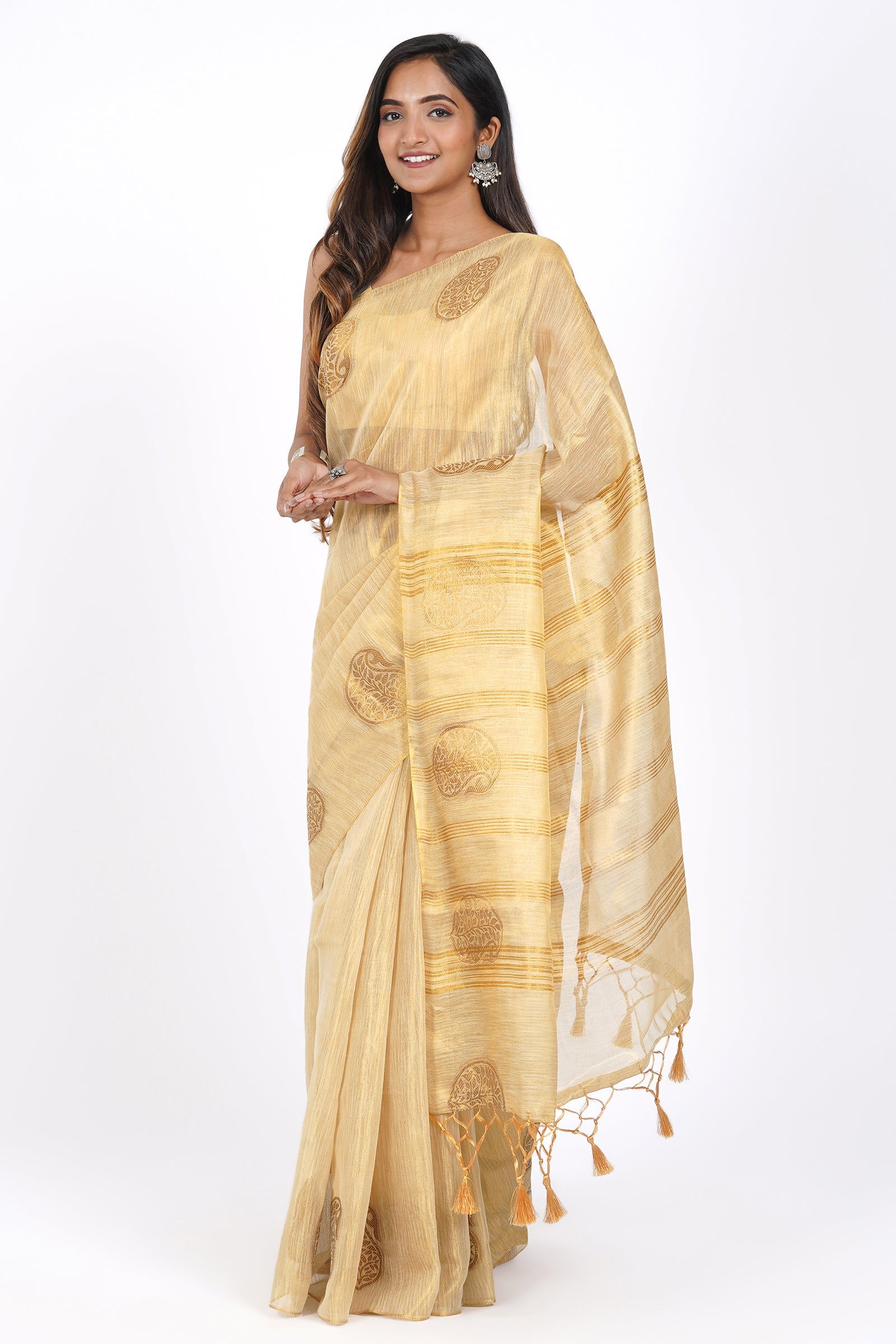 Teejh Devyani Tissue Silk Saree