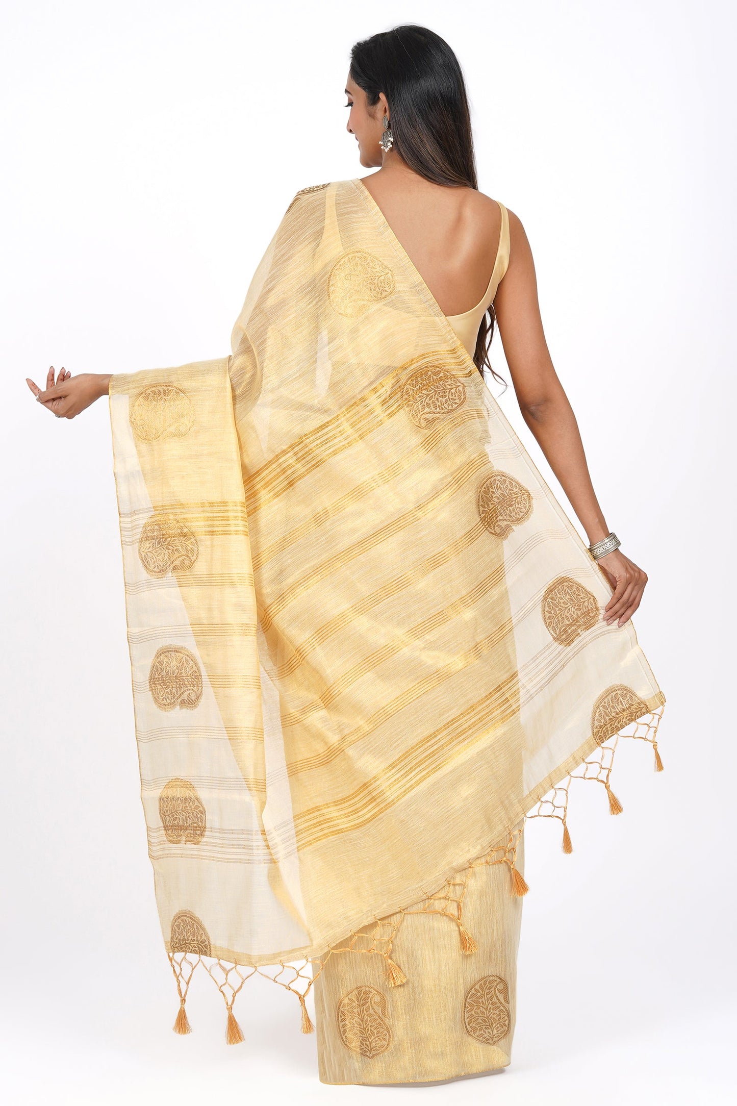 Teejh Devyani Tissue Silk Saree