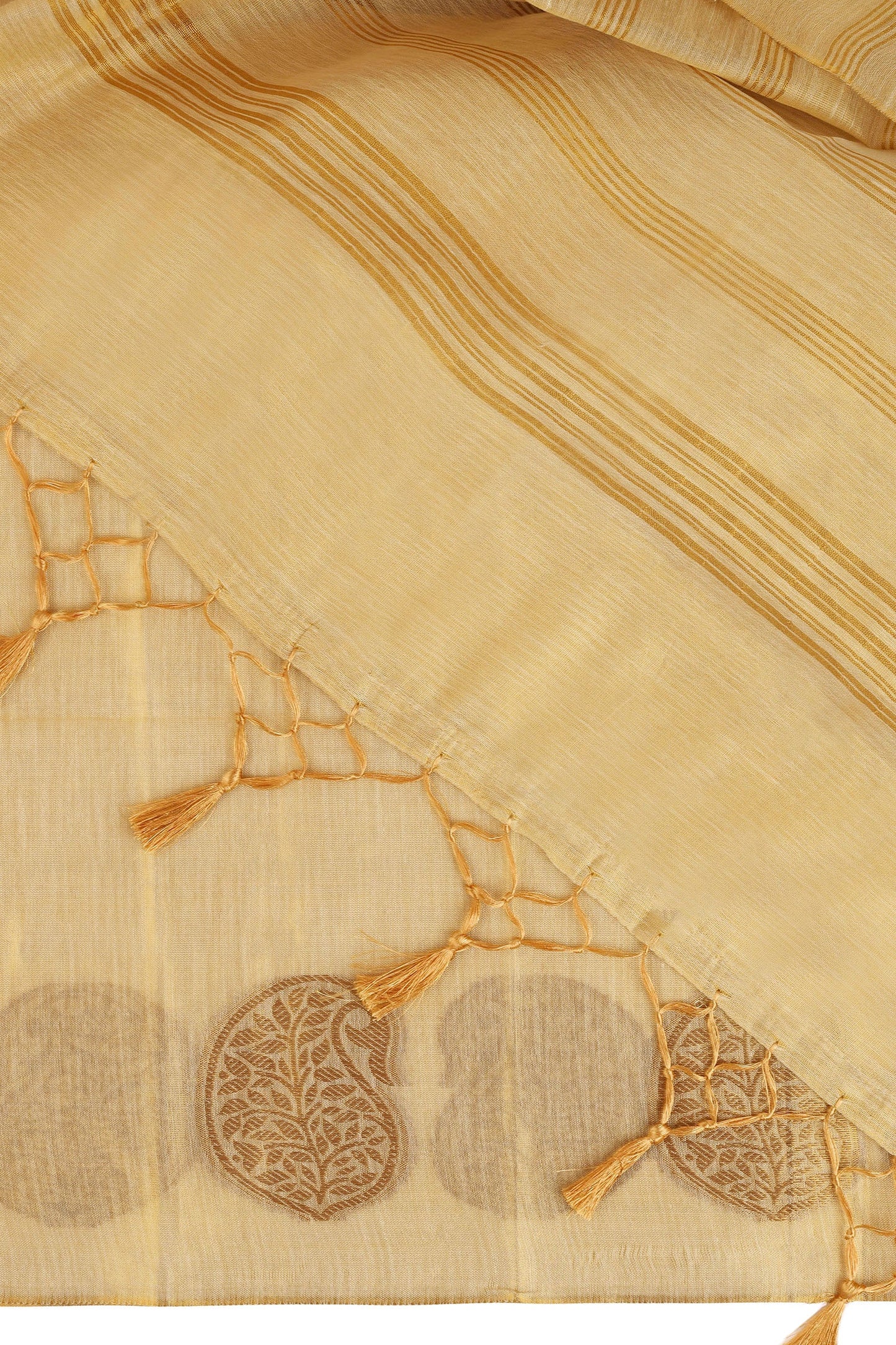 Teejh Devyani Tissue Silk Saree