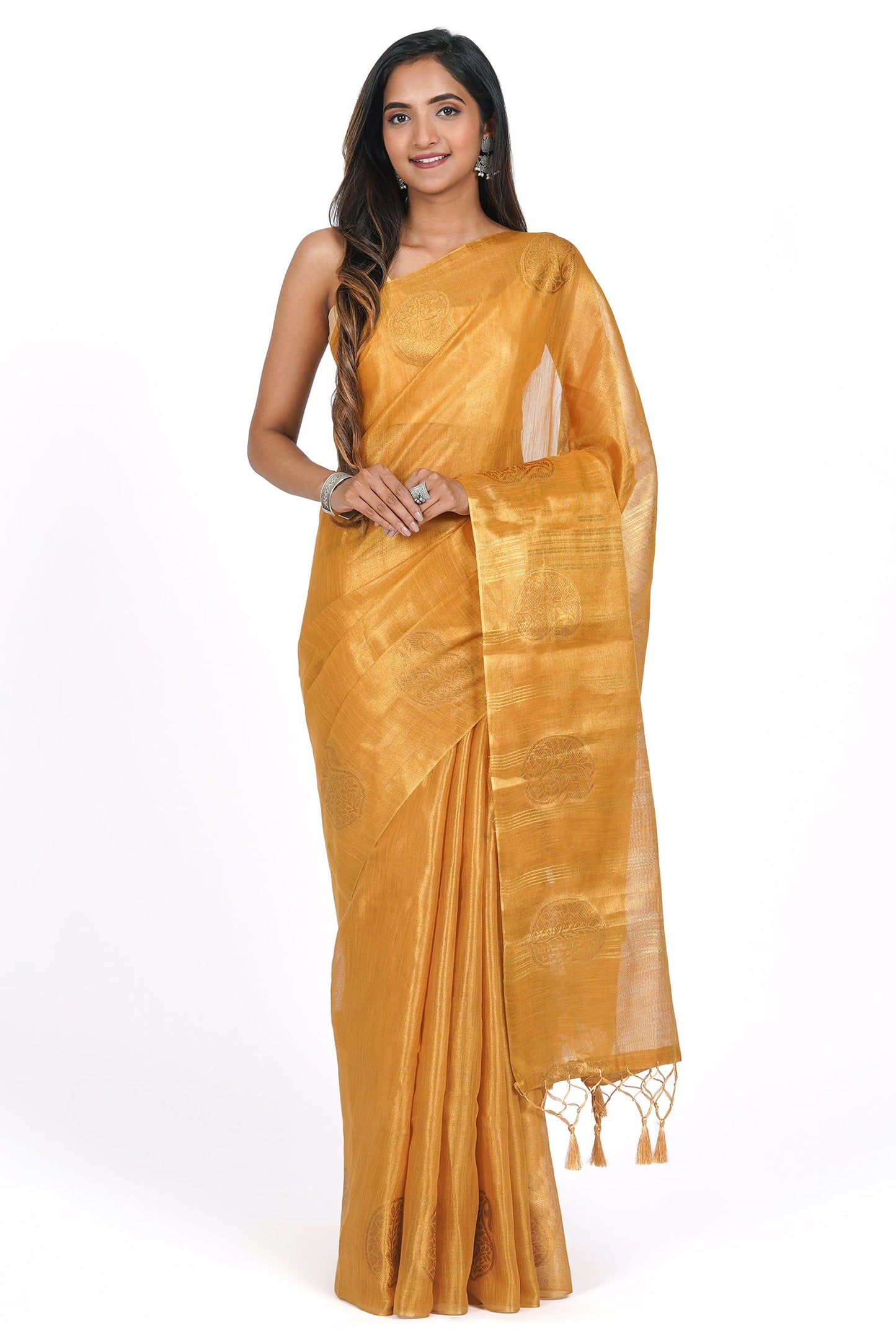 Teejh Amrapali Tissue Silk Saree