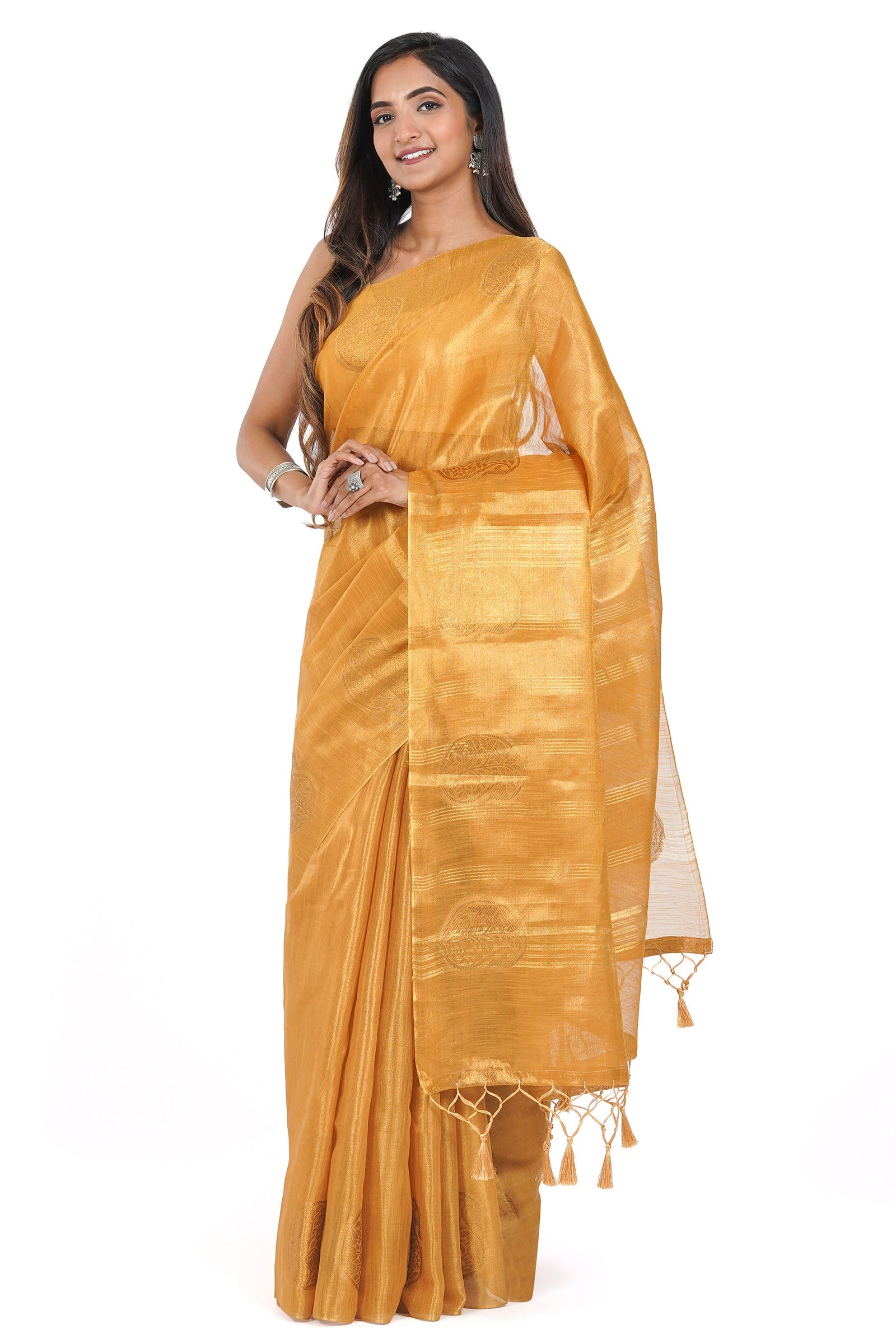 Teejh Amrapali Tissue Silk Saree