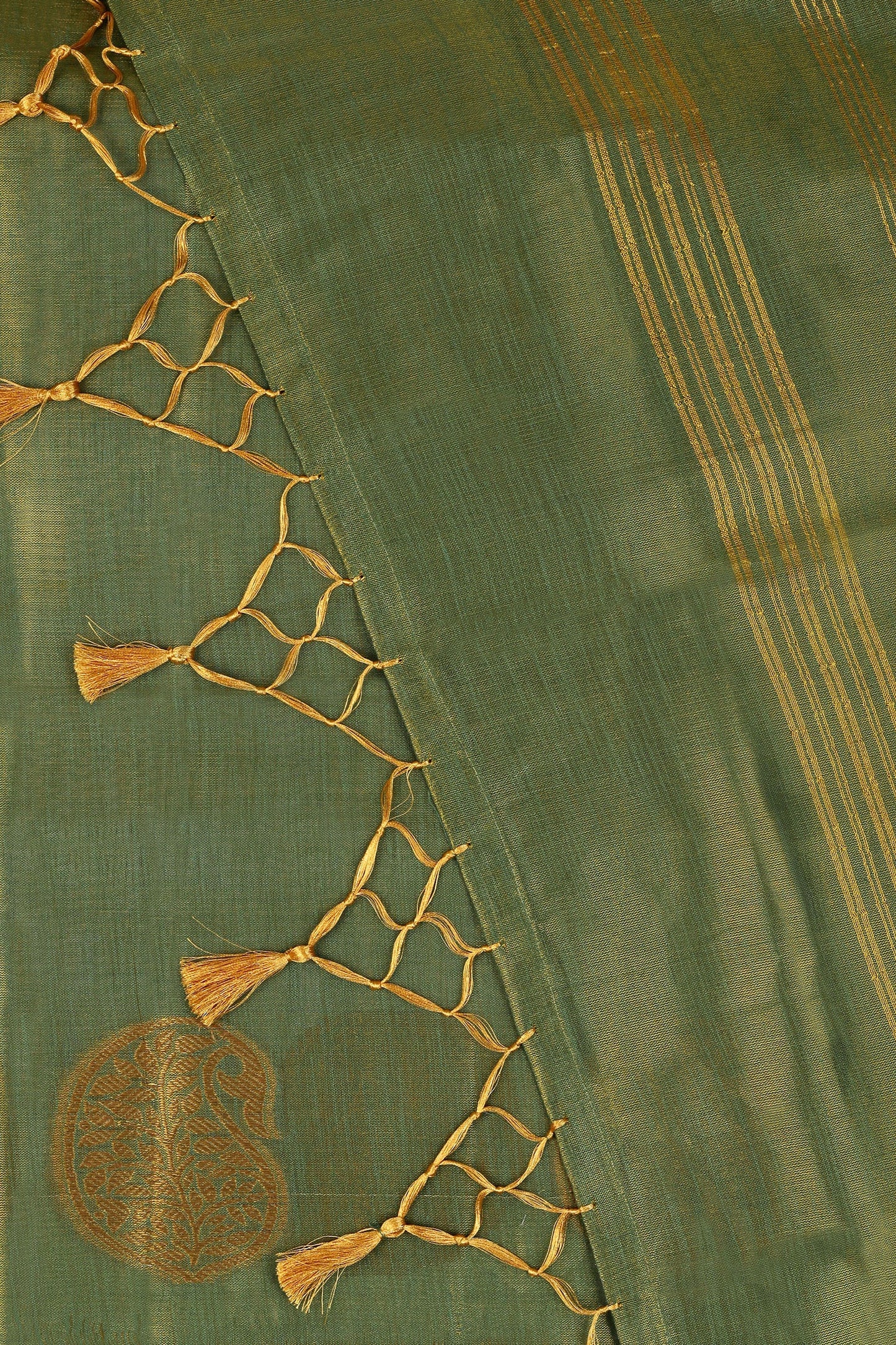 Teejh Shakti Tissue Silk Saree