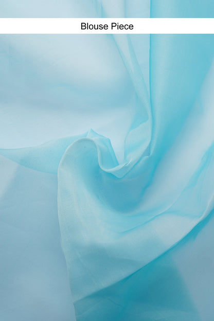 Teejh Savani Embroidered Organza Saree