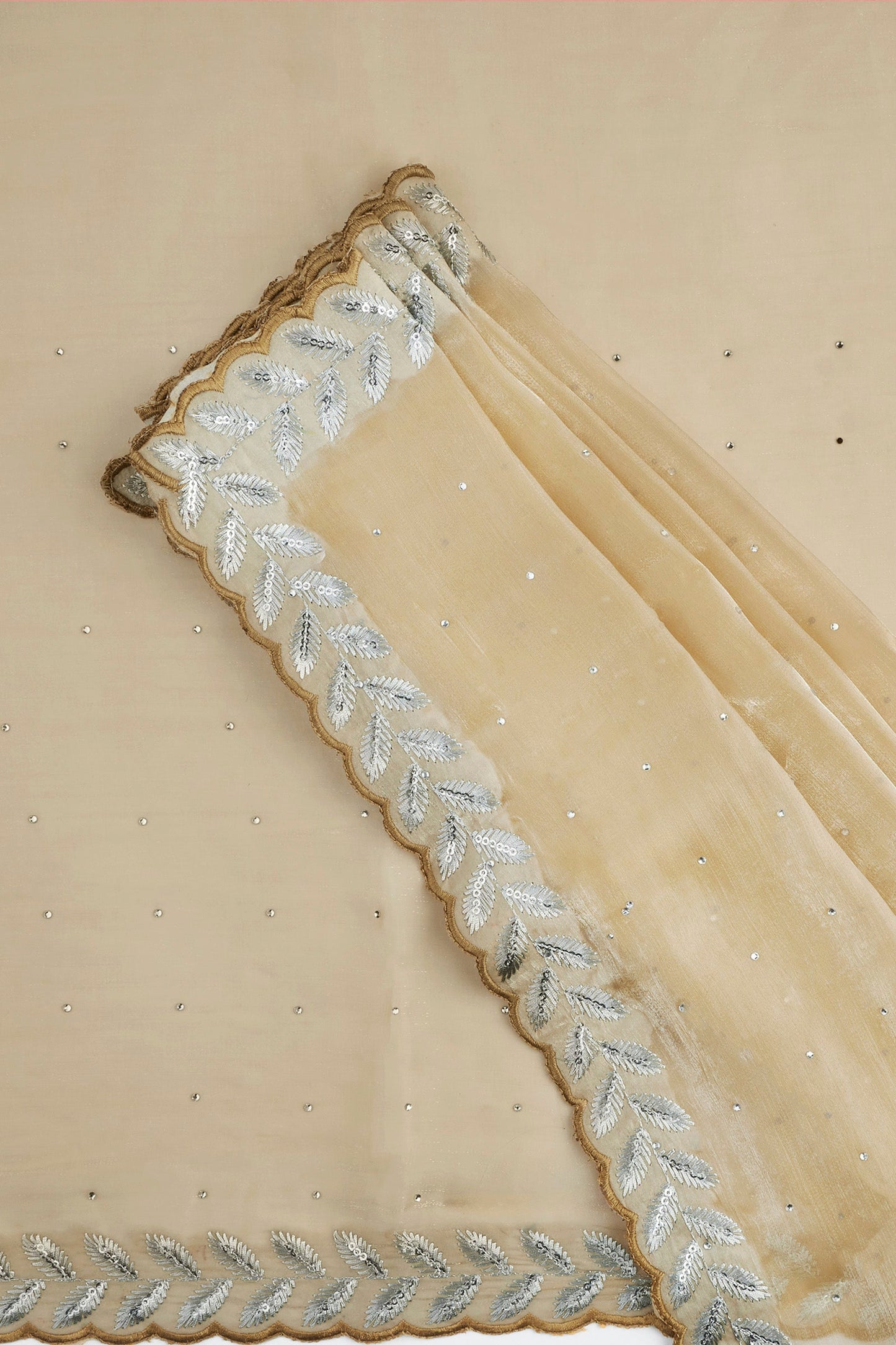 Teejh Harichandana Beige Tissue Saree