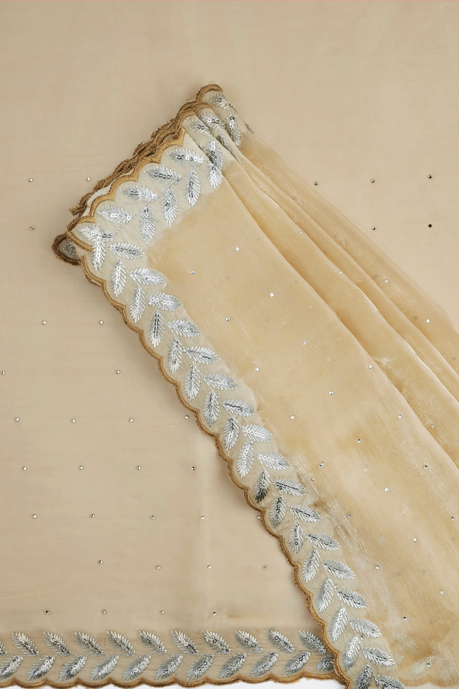 Teejh Harichandana Beige Tissue Saree