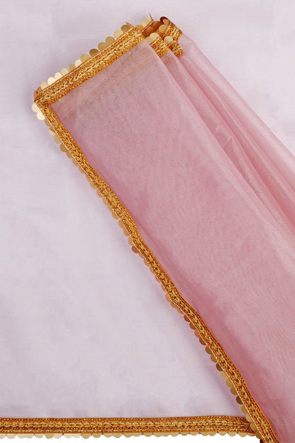 Teejh Iraja Pink Net Saree