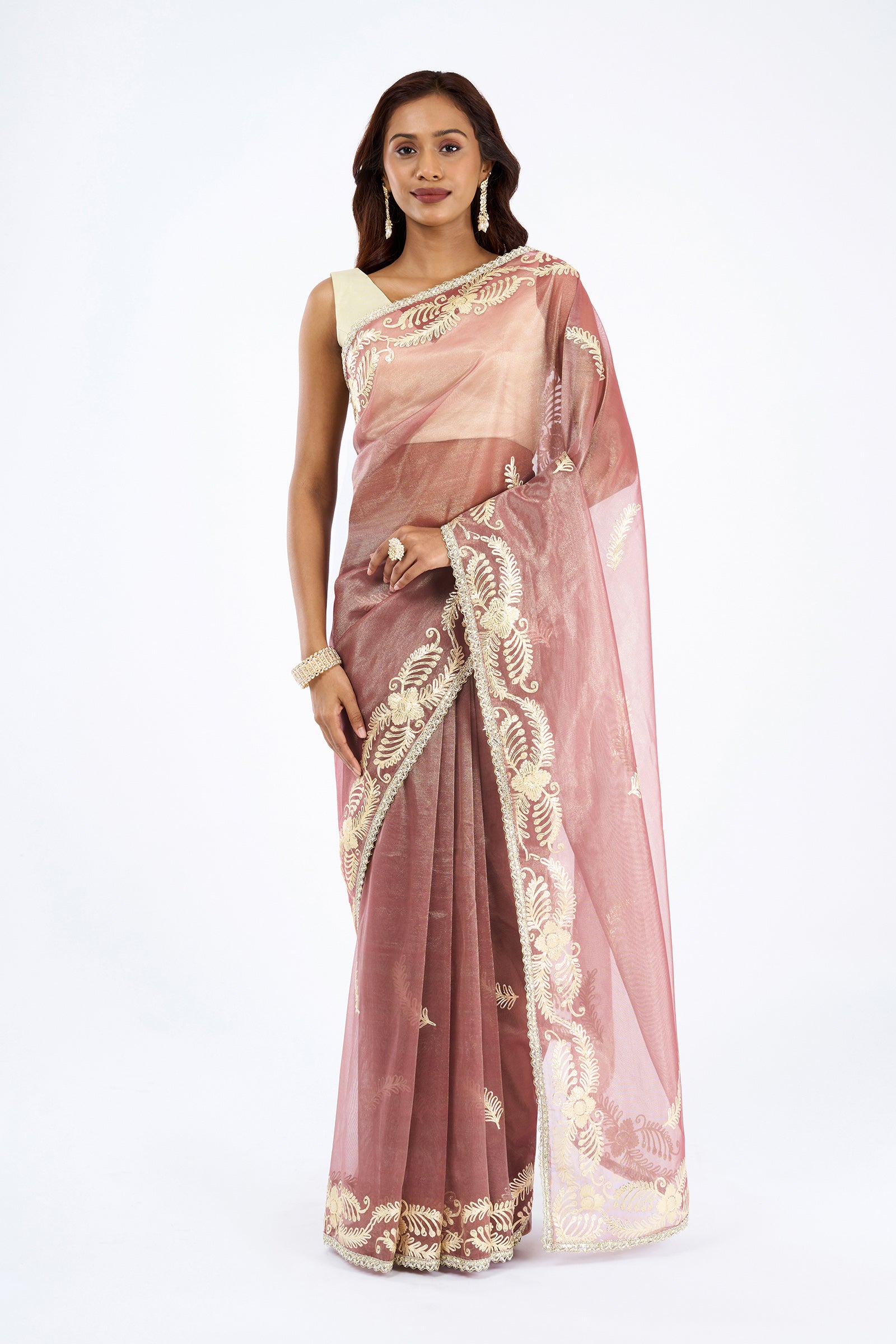 Teejh Raunaq Taupe Net Gota Saree