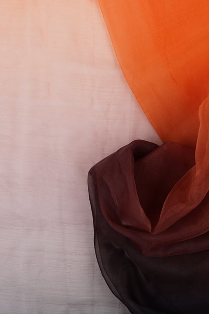 Teejh Aksaja Ombre Organza Saree
