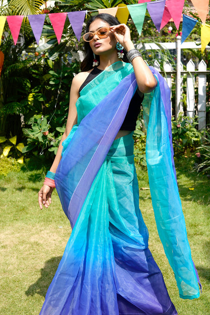 Teejh Ruvie Ombre Organza Saree