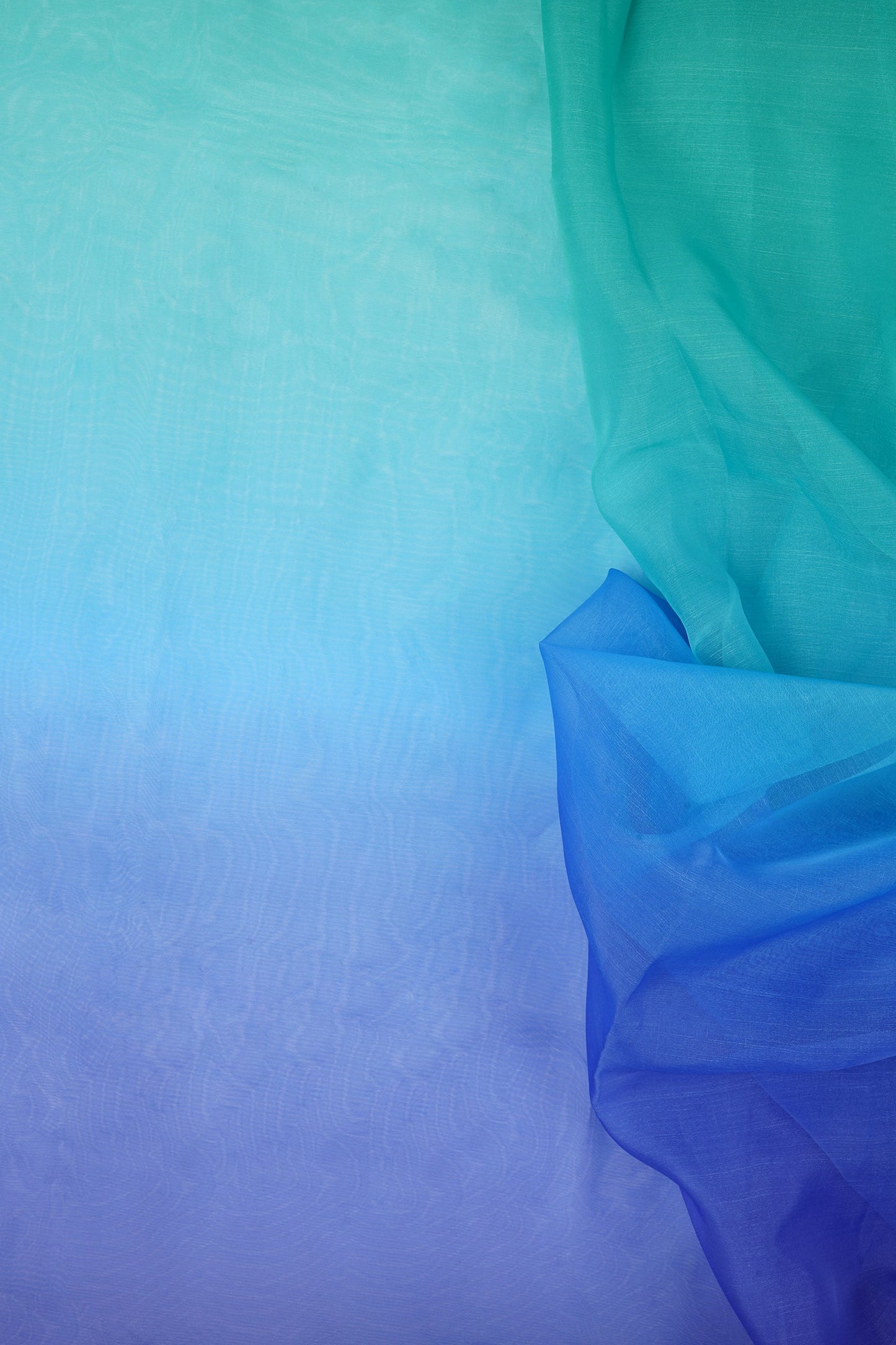 Teejh Ruvie Ombre Organza Saree