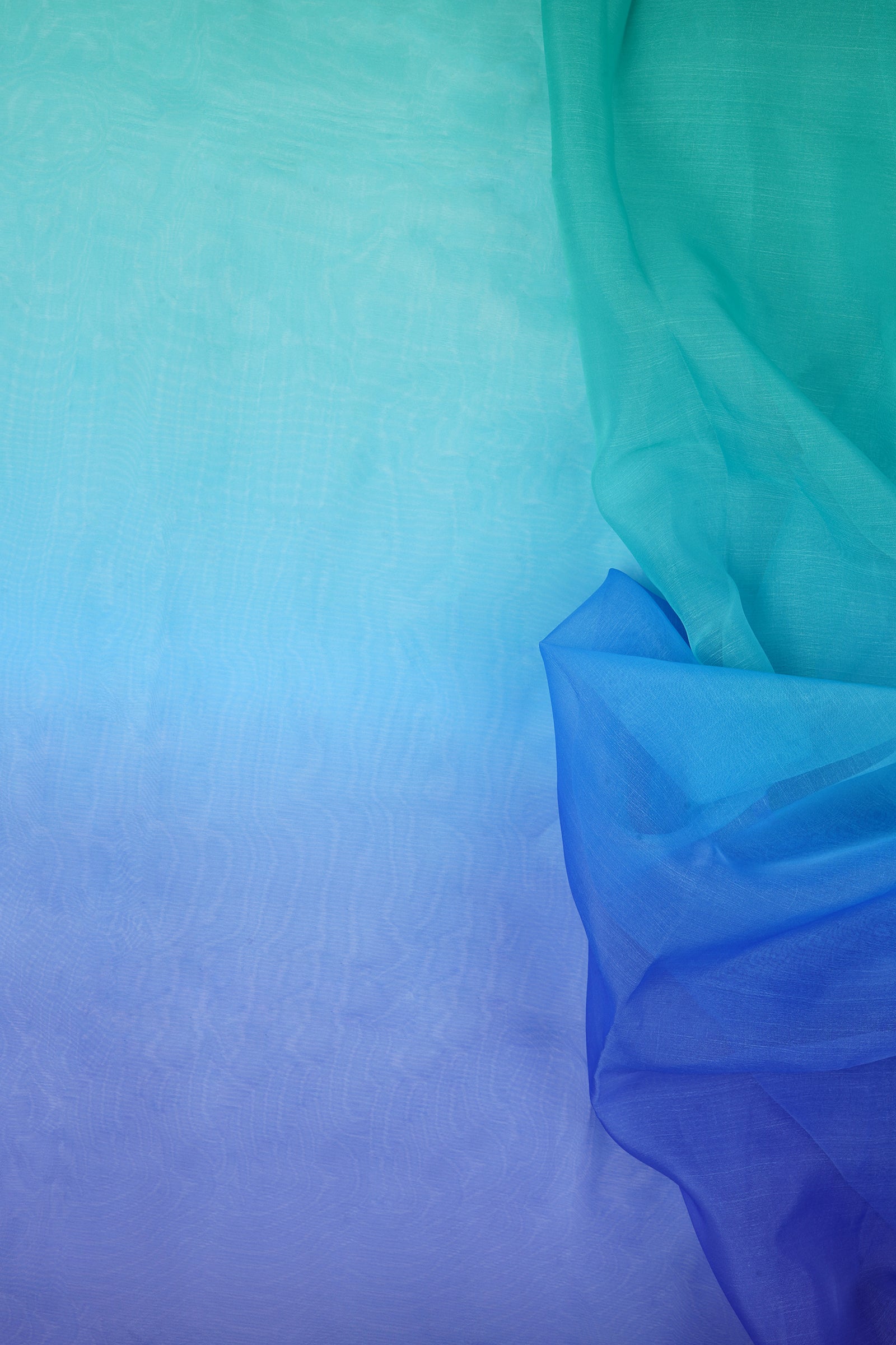 Teejh Ruvie Ombre Organza Saree