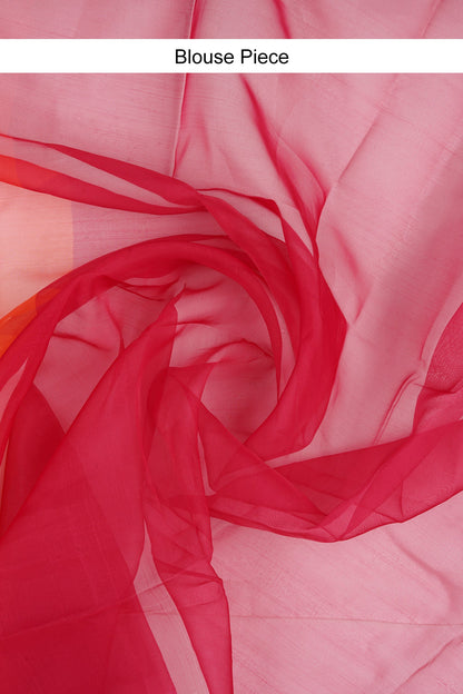 Teejh Oisha Ombre Organza Saree