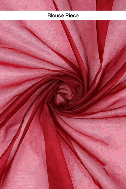 Teejh Iylia Dark Red Sequin Embroidery Organza Saree